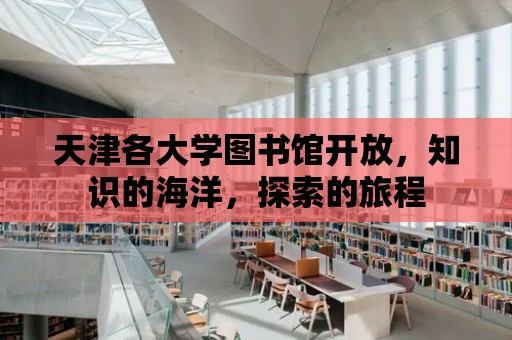 天津各大學圖書館開放，知識的海洋，探索的旅程