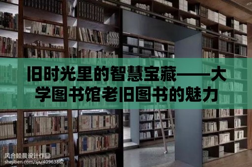 舊時光里的智慧寶藏——大學(xué)圖書館老舊圖書的魅力