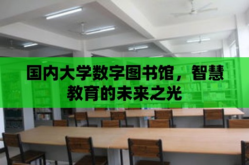 國內(nèi)大學(xué)數(shù)字圖書館，智慧教育的未來之光