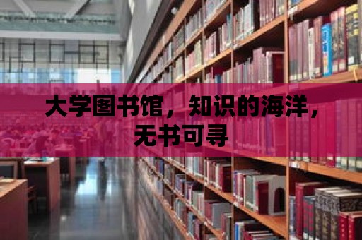 大學圖書館，知識的海洋，無書可尋