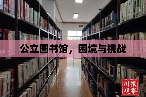 公立圖書館，困境與挑戰(zhàn)