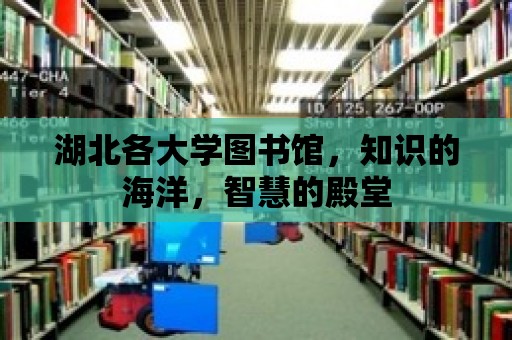 湖北各大學(xué)圖書館，知識的海洋，智慧的殿堂