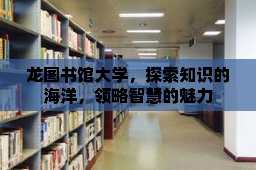 龍圖書館大學，探索知識的海洋，領略智慧的魅力