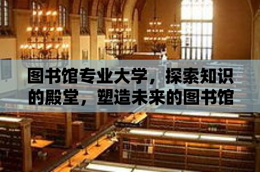 圖書館專業(yè)大學，探索知識的殿堂，塑造未來的圖書館專家