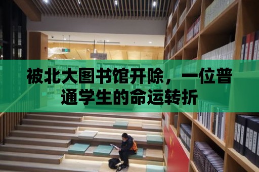 被北大圖書館開除，一位普通學生的命運轉折