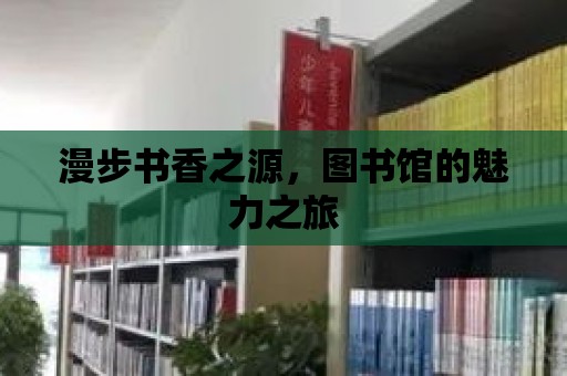 漫步書香之源，圖書館的魅力之旅