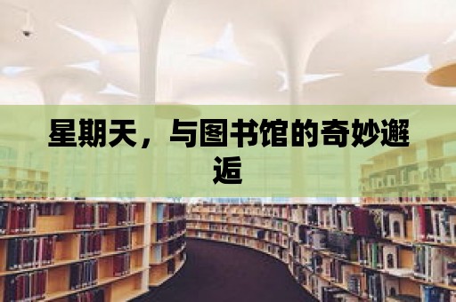 星期天，與圖書館的奇妙邂逅