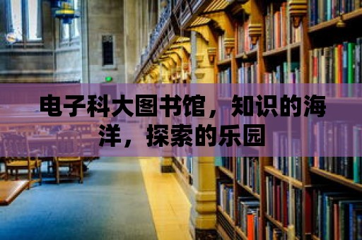 電子科大圖書館，知識的海洋，探索的樂園