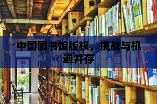 中國圖書館版權，挑戰與機遇并存