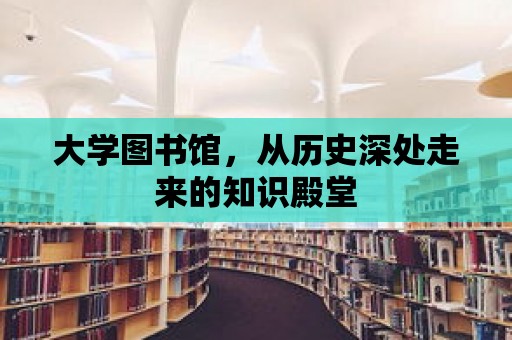 大學圖書館，從歷史深處走來的知識殿堂