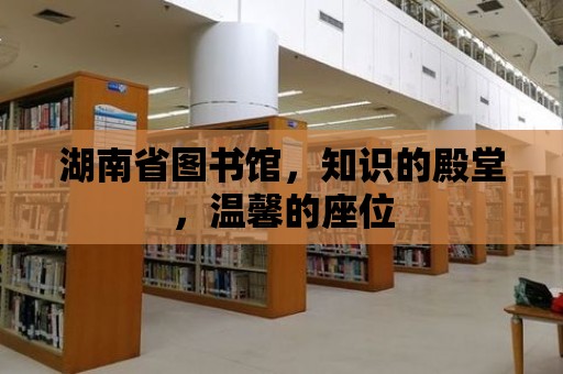 湖南省圖書館，知識(shí)的殿堂，溫馨的座位