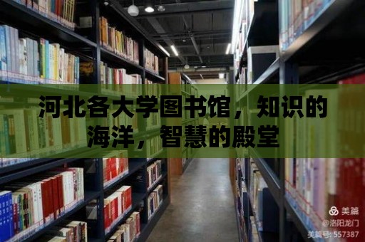 河北各大學圖書館，知識的海洋，智慧的殿堂