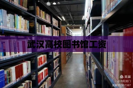 武漢高校圖書館工資