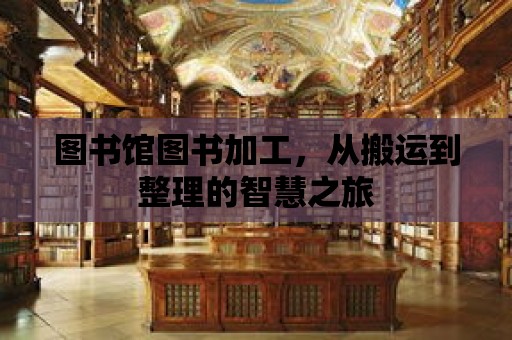 圖書(shū)館圖書(shū)加工，從搬運(yùn)到整理的智慧之旅