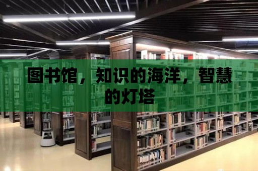 圖書館，知識的海洋，智慧的燈塔