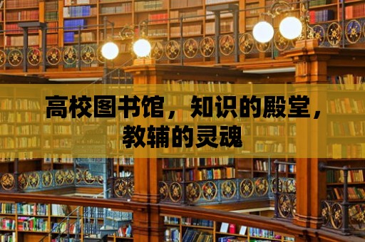 高校圖書館，知識(shí)的殿堂，教輔的靈魂