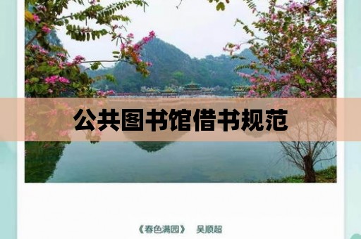 公共圖書館借書規范