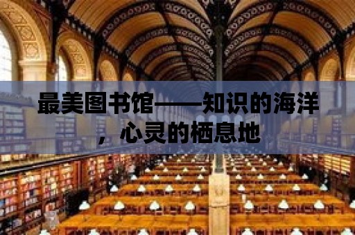 最美圖書館——知識的海洋，心靈的棲息地