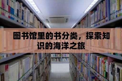 圖書館里的書分類，探索知識的海洋之旅