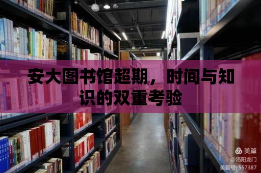 安大圖書館超期，時間與知識的雙重考驗