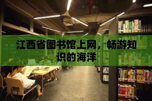 江西省圖書館上網，暢游知識的海洋