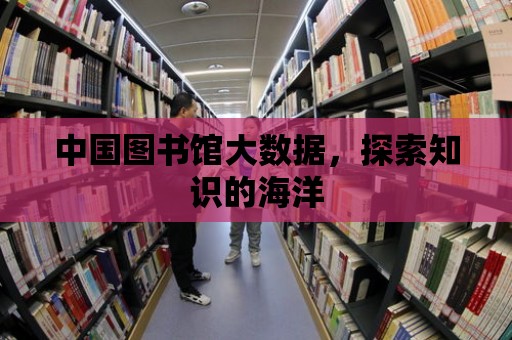 中國圖書館大數據，探索知識的海洋