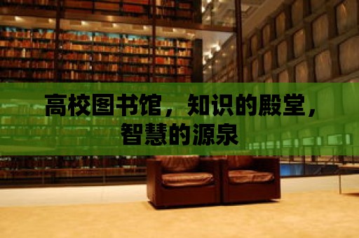 高校圖書館，知識的殿堂，智慧的源泉