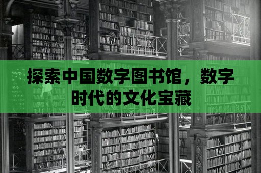 探索中國數(shù)字圖書館，數(shù)字時代的文化寶藏