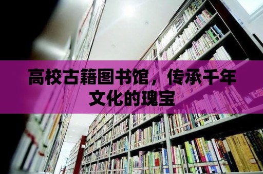 高校古籍圖書館，傳承千年文化的瑰寶