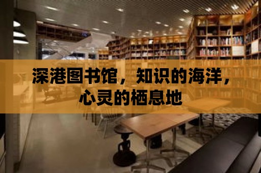 深港圖書館，知識(shí)的海洋，心靈的棲息地