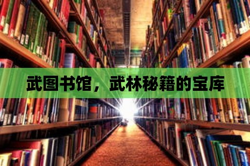 武圖書館，武林秘籍的寶庫