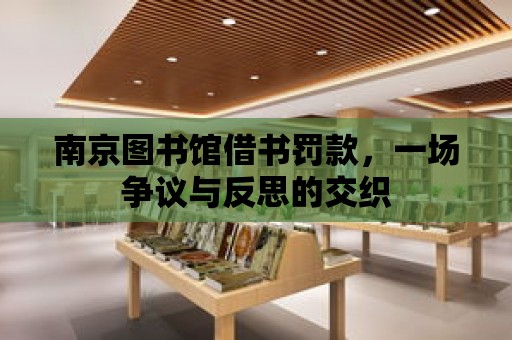 南京圖書館借書罰款，一場爭議與反思的交織