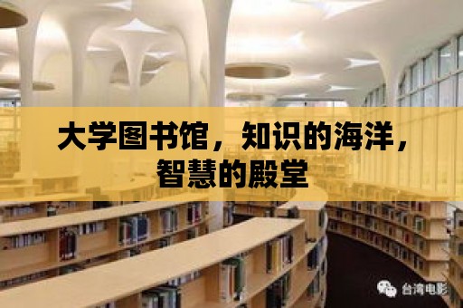 大學圖書館，知識的海洋，智慧的殿堂