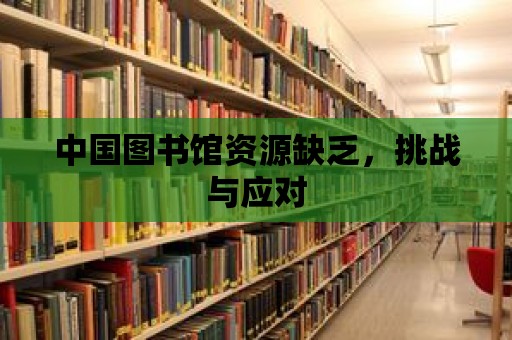 中國圖書館資源缺乏，挑戰與應對