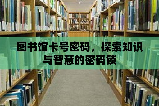 圖書館卡號密碼，探索知識與智慧的密碼鎖