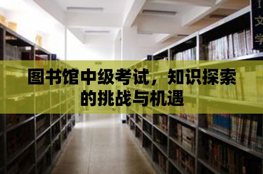 圖書館中級考試，知識探索的挑戰與機遇