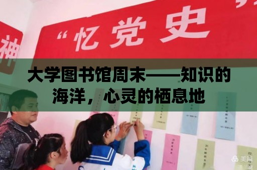 大學圖書館周末——知識的海洋，心靈的棲息地