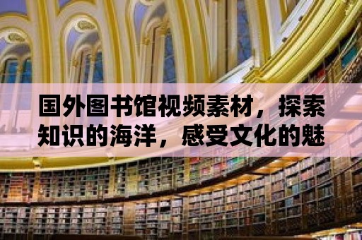 國外圖書館視頻素材，探索知識的海洋，感受文化的魅力