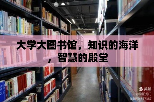 大學大圖書館，知識的海洋，智慧的殿堂