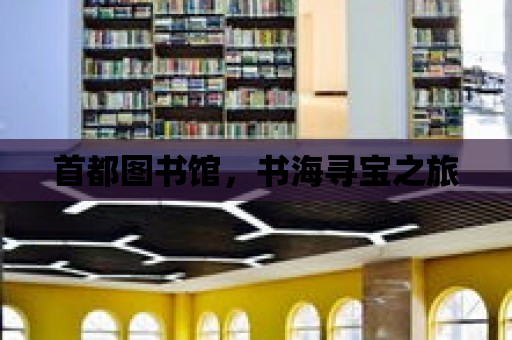 首都圖書館，書海尋寶之旅