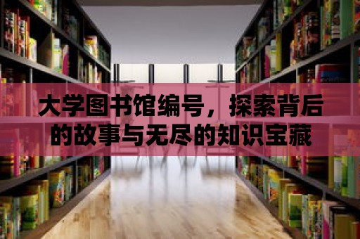 大學圖書館編號，探索背后的故事與無盡的知識寶藏