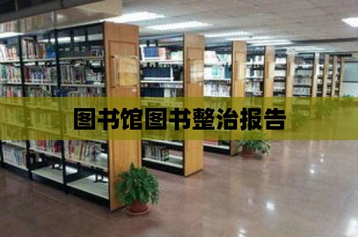 圖書館圖書整治報告