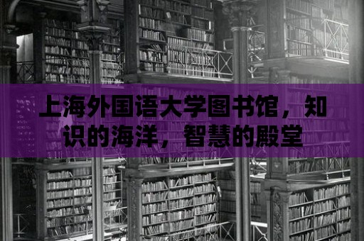 上海外國語大學圖書館，知識的海洋，智慧的殿堂