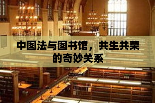 中圖法與圖書館，共生共榮的奇妙關系