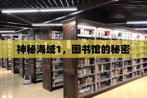 神秘海域1，圖書館的秘密