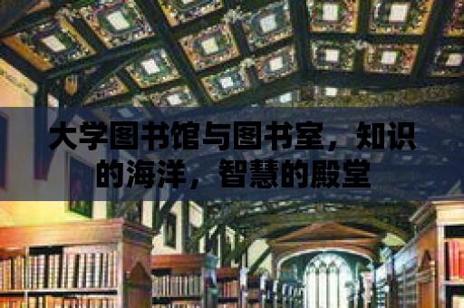 大學圖書館與圖書室，知識的海洋，智慧的殿堂