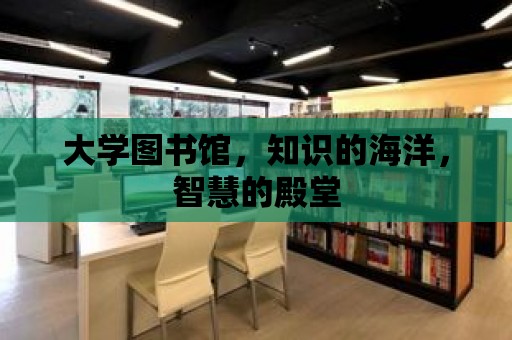 大學圖書館，知識的海洋，智慧的殿堂