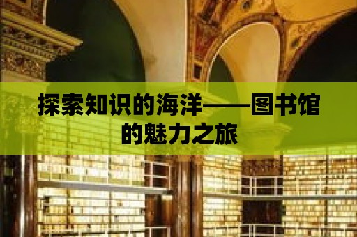 探索知識的海洋——圖書館的魅力之旅