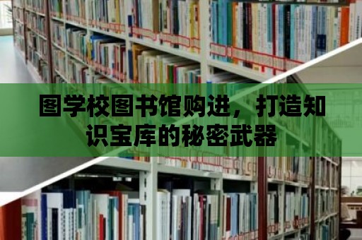 圖學校圖書館購進，打造知識寶庫的秘密武器