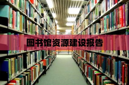 圖書館資源建設報告